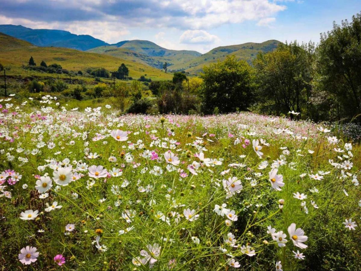 The Water Mill Graskop Exterior foto